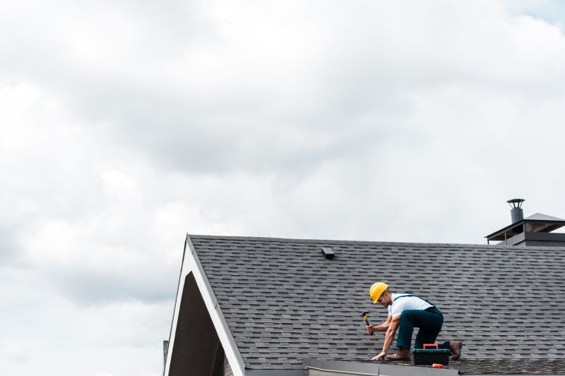 Professional asphalt shingle repair